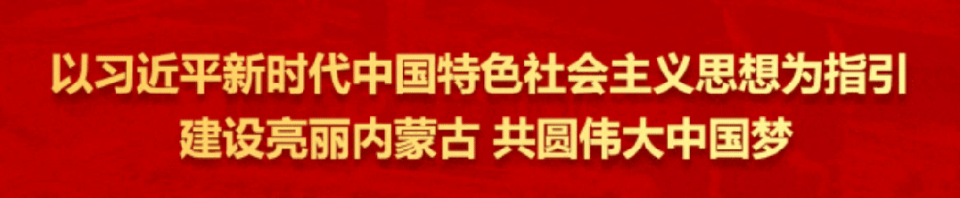 px, 足球迷们看