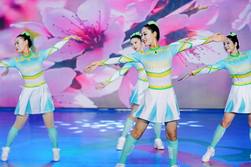 示各具特色, 导站点, 导员队伍技